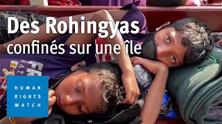 Bangladesh Des Rohingyas Confinés Sur Lîle De Bhasan Char