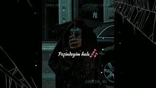 Peşindeyim Hala