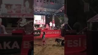 Yaşlı Ama Ruhları Genç Çiftin Muhteşem Dansı