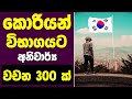 Learn Korean in Sinhala - කොරියානු පෙළපොත් දෙකෙහි පළමුවන පාඩම් 30 තුළ ඇති ඉතා වැදගත් වචන 300 ක්
