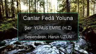 Canlar Feda Yoluna Yunus Emre H.z