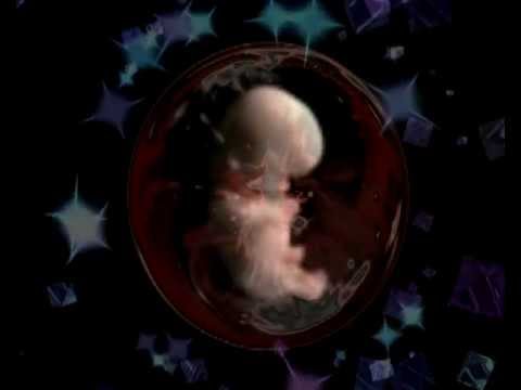Скачать футаж для выписки из роддома.avi