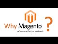 Why Magento is a Preferable Ecommerce Platform among Clients?