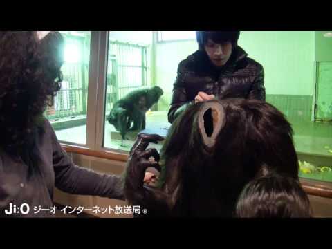「世界の王子動物園へ プロジェクト　Vol．10」（神戸市）