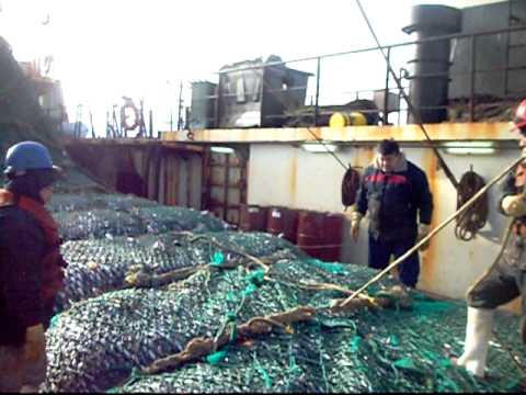 VIDEOS DE PESCA EN EL MAR videos de pesca en el mar: