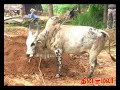 Dinamalar