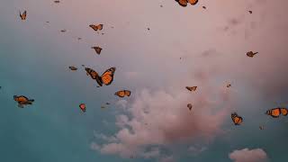 Last Time - Gabby Callwood