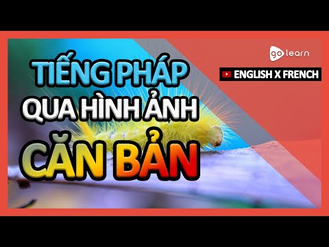 Học Tiếng Pháp Qua Hình Ảnh |Từ Vựng Tiếng Pháp Căn Bản | Golearn