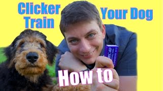 How to CLICKER TRAIN Your Dog: The FASTEST WAY to Teach your Dog to be AWESOME!