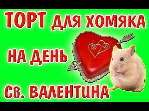 Вкусняшки своими руками для хомяка Вкусняшки своими руками для хомяка