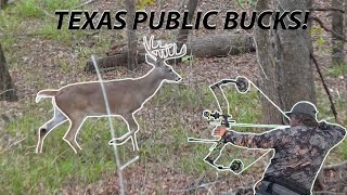 Hunter's Quest For A Texas Public Land GIANT! 4 Shooters?
