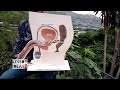 Maqueta del sistema reproductor masculino