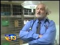Watch Beach Pet Hospital | Stemlogix Animal Stem Cell Therapy News Story Video