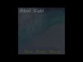 Silent Night - Dear Sister Moon