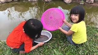 Kids survival primitive technology Tadpole - Bắt Cá Nòng Nọc Sam Sam Tv