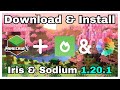 How To Download Iris & Sodium In Minecraft 1.20.1