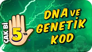 DNA ve Genetik Kod 🖐🏻 5 Dakikada Net Artırma Garantili!