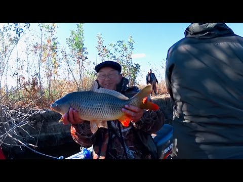 ловля рыбы на нижней волге видео ловля рыбы на нижней волге видео