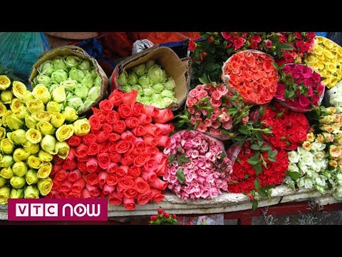 Bí quyết giữ hoa cắm tươi lâu không phải ai cũng biết