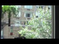 81st West End Avenue Spacious 2br On Quiet Street In 81st West End Avenue Spacious 2br On Quiet Street In