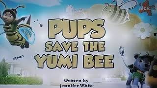Pups Save The Yuml Bee