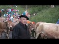 Aubrac.