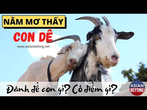 Chiêm bao thấy con dê đánh đề số mấy làm giàu? | Asianbetting.net