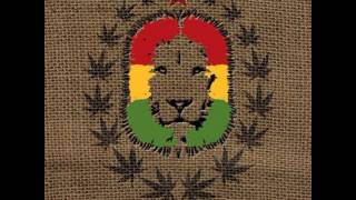 One Lion - Babylon Town Balkan Regae Connection