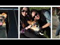 Google Photos Search Your Photos By Emoji Google Photos Search Your Photos By Emoji