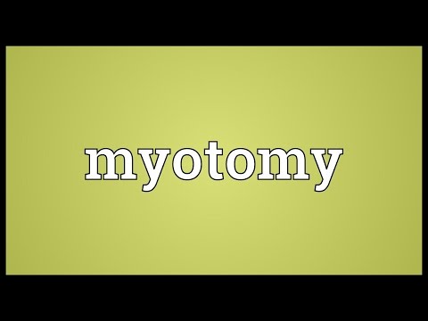 Header of myotomy