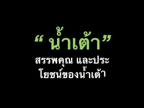 สรรพคุณและประโยชน์ของน้ำเต้า โรคเบาหวานและคุณแม่คลอดลูกควรทราบ | กีวี่ บาย แฟมิลี่