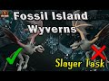 OSRS Fossil Island Wyvern Guide NEW META