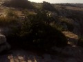 Gabbiano a Formentera