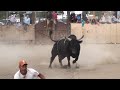 Jaripeo Fiesta San Isidro Michoacan 2014 en California