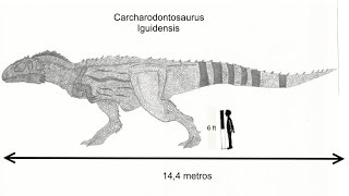 Top 10 Biggest Meat Eating Dinosaurs Top 10 Biggest Meat Eating Dinosaurs