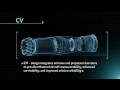 F135 Engine: Fast Facts (Interactive Display Loop)