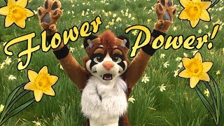~Daffodil Day~ Sparky vs Flowers