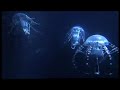 Jellyfish robot: AquaJelly & AirJelly - Sexy Robots Videos