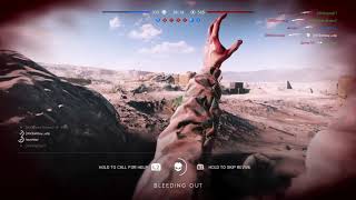 Tea bag bfv