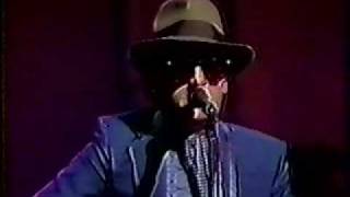Watch Elvis Costello Stranger In The House video