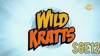 Pustolovine Sa Braćom Kret Kako Jahati Žabu