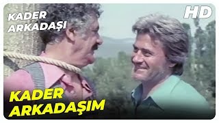 Kader Arkadaşı - Yusuf, Kader Arkadaşını Kurtardı! | Cüneyt Arkın Eski Türk Film