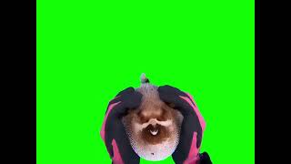 Diver Petting Pufferfish - Green Screen