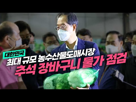 '가락 도매시장' 추석 장바구니 물가 안정을 위한 집중 현장 점검