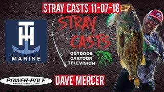 Stray Casts November 7, 2018 featuring Dave Mercer