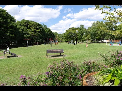 辰巳の森海浜公園は、広大な多目的広場を中心に各種スポーツ施設など大人から子供まで楽しめる工夫がいっぱい詰まった公園