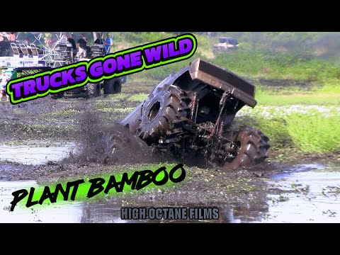 BIG DAWGS TURNT LOOSE AT TRUCKS GONE WILD OKEETOBER FEST PLANT BAMBOO BIG DAWGS TURNT LOOSE AT TRUCKS GONE WILD OKEETOBER FEST PLANT BAMBOO