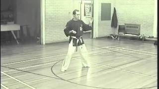 Praying Mantice Kata