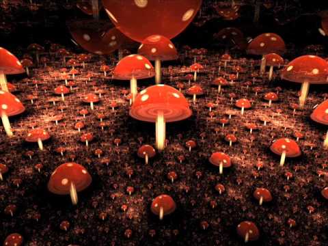Atma - Live Set