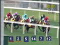 MAJESTIC FALCON won THE HONG KONG MACAU TROPHY (HANDICAP) 2012